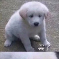 柴玉彬