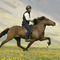 Shahram Abdolahi