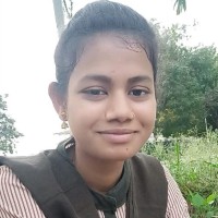 Hussianbee Shaik