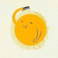 Z. sunny