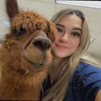 Mireya Godina