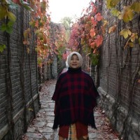 Niken Widyawati