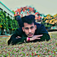Kanchan Roy