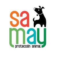 Colectivo Samay