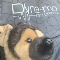Desmond Dyna-mo Dog