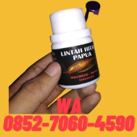 Obat pembesar alat vital mr p minyak lintah asli di jayapura