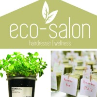 Eco Salon Beleza Sustentável / Alimentação Viva
