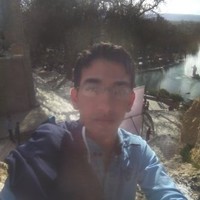 omid tiemory