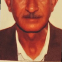 Taib Hassadi