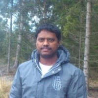 Bharathi Raja Pandurangan