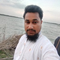 Md. Imran Hossain Hemu