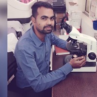 Sivaiah Indla
