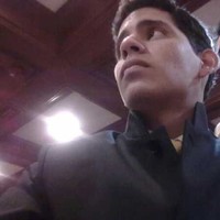 Luis Fernando Almonte Ojeda