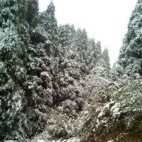 谢显俊