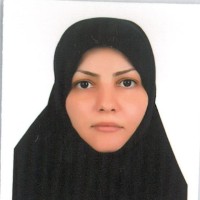 maryam ghambary