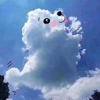 李佳鸿