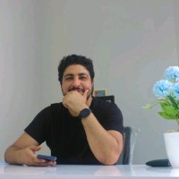 Alaa Megahed