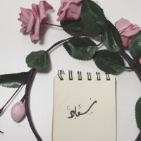 Souad Ahmed, Ifce
