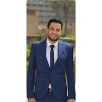 Ahmed H Agina