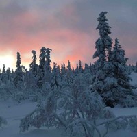 Nicola Hutchinson MBE