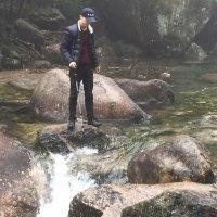 凤凰涅