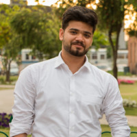 Syed Ali Hasnain Naqvi