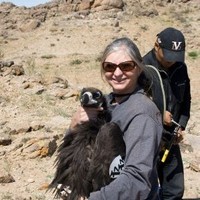 Cynthia Bickel