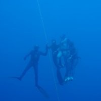 carlos ochoa candela