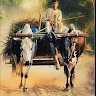 Mian Tahseen Ullah