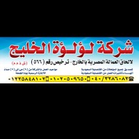 Elsayed Ammar