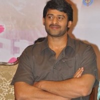 Indra Cg