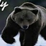 Ted Bear