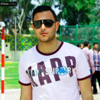 Shady Mokhles
