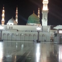 Mohammad Javed Shaikh