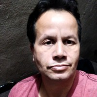 Luis E Aguirre Flores