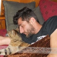kostas mitsopoulos