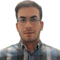 Hossein Hassani