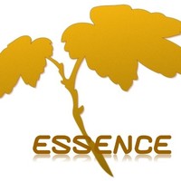 ESSENCE - Journal - Environmental Rehabilitation and Conservation