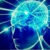 Big Brain