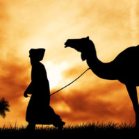 Treasures from Morocco