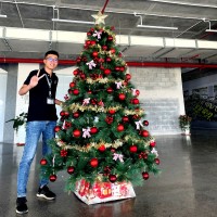 Cris Nguyen Hoai Luan