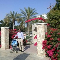 alireza Ahmadi