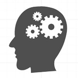 HUMAN CAPITAL CONSULTANT