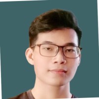 Tai Le Duc