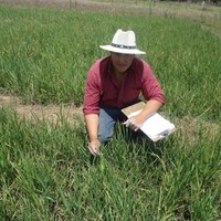 rony rene vasquez muñoz