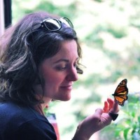 Delphine Gomez