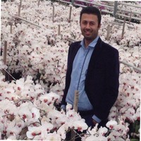 Mohsen Mahdavi
