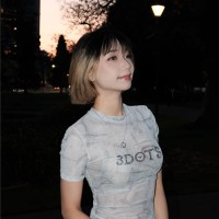 Vu Phuong Linh Nguyen