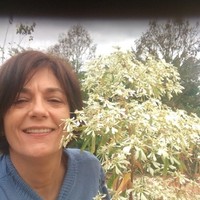 Maria Lucélia Felippe Pesuto