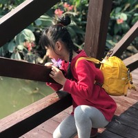 黄莹莹